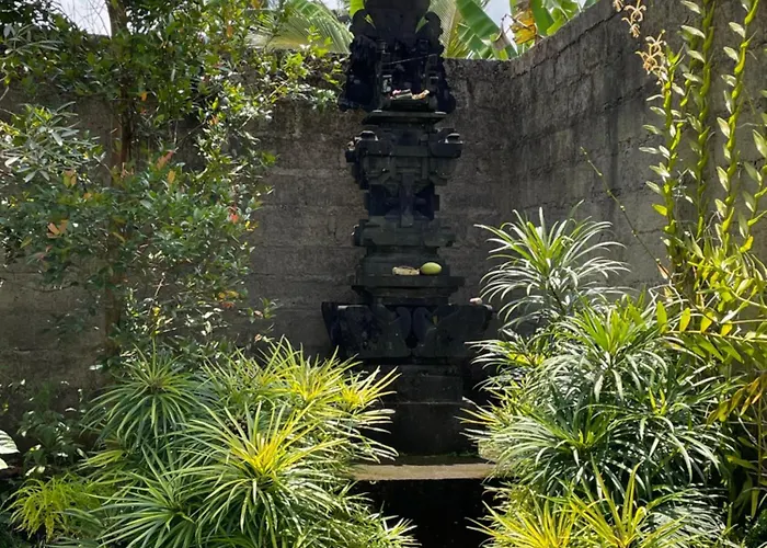 Kelana